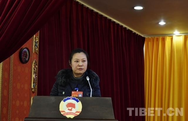 拉萨市政协委员为“美丽拉萨”建言献策
